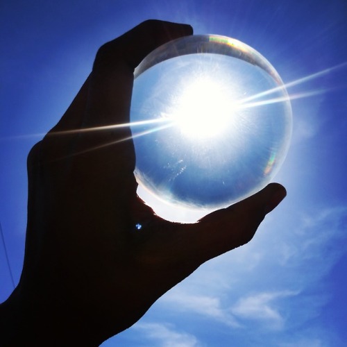 MSPLens + Lensball Photography Summer 2018